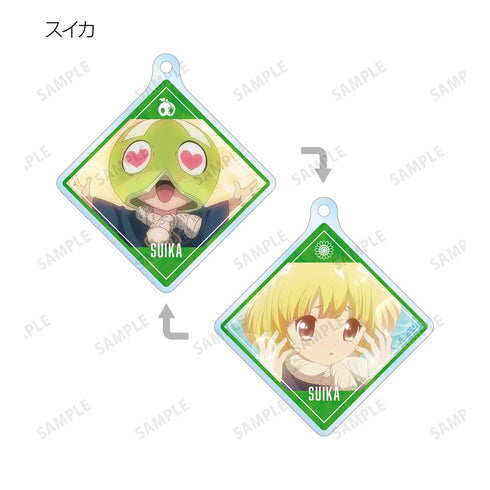 『Dr.STONE』トレーディング両面アクリルキーホルダー(単位/BOX)【202510再販】